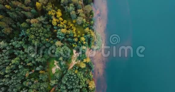 湖边的森林和北部的针叶树空中无人机顶景图有松树和杉树的景观晴天在视频的预览图