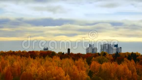 秋天的时光流逝城市的秋天视频的预览图