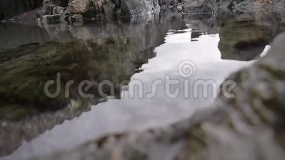穿过一个岩石池视频的预览图
