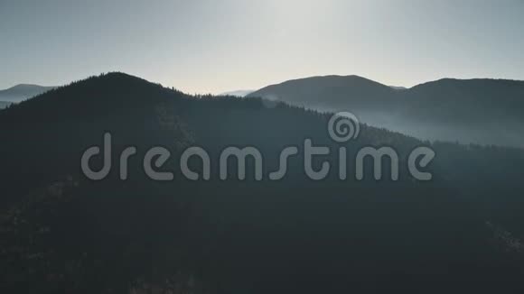 明亮的阳光照亮了松林山顶的轮廓视频的预览图