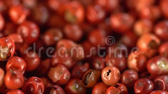 食物香料粉红色胡椒红胡椒喜马拉雅胡椒浆果烹饪用新鲜和膳食香料的概念视频的预览图