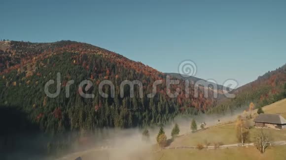有绿色棕色森林和黄色草地上的房子的山丘视频的预览图
