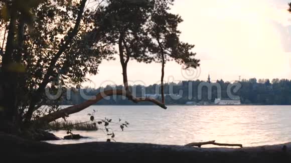 湖和北方的绿树空中无人机顶景图俄罗斯的风景在野外的晴天概念视频的预览图