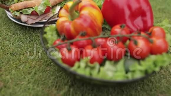 草地上的蔬菜绿色草坪上碗中新鲜绿色和红色蔬菜的俯视视频视频的预览图
