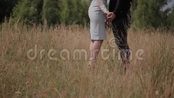 相爱的幸福夫妇站在田野上牵手视频的预览图