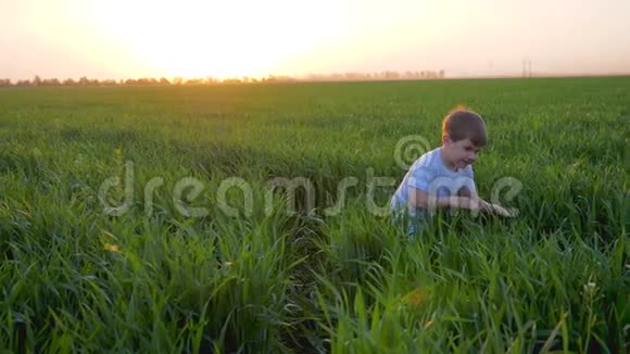 在大自然中玩耍在橙色余辉的背景下可爱的孩子躲在草地上视频的预览图