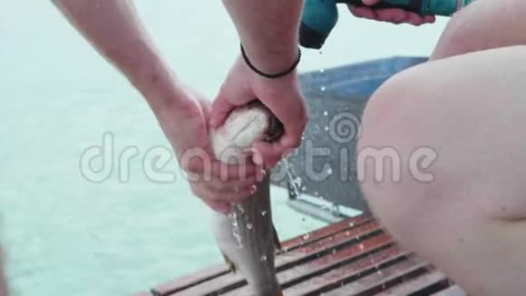 渔民们把渔船上的鱼切开特写视频的预览图