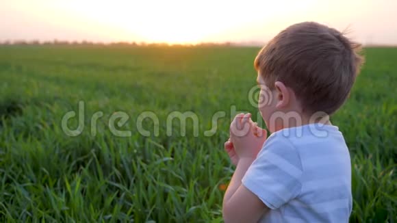 日落时绿野背景下手里拿着面包的幸福孩子画像视频的预览图