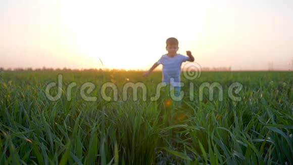 快乐的周末快乐的小男孩夏天带着绿草跑过田野视频的预览图