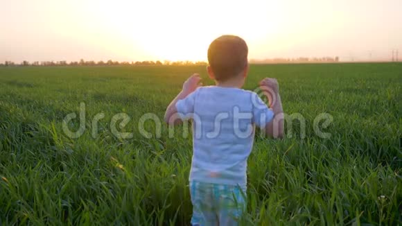 周末在粉红色余晖背景下孩子们在田野里玩着厚厚的草视频的预览图
