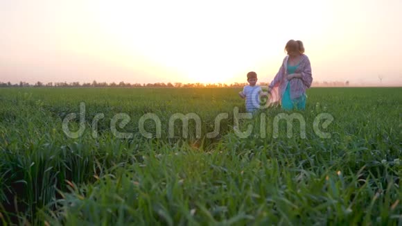 快乐的童年可爱的男孩和母亲一起在田野里在粉红色的天空的背景下在黎明时带着厚厚的绿草视频的预览图