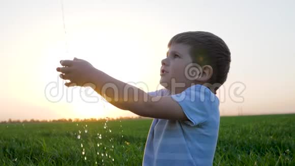 在日出时在绿草中清洁可爱的孩子的双手在粉红色的天际线上清洁视频的预览图