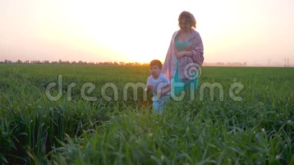 家庭假日年轻的母亲和快乐的儿子一起在夏天的草地上慢悠悠地走在粉红色的天堂上视频的预览图