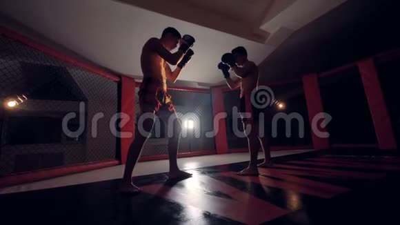 两名战士开始在笼子里打拳视频的预览图