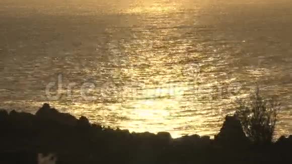 闪闪发光的太平洋水视频的预览图
