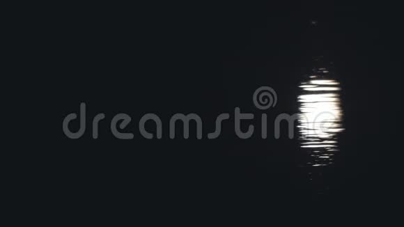 月光反射在水面上视频的预览图
