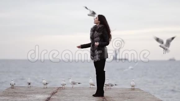 年轻迷人的黑发女人穿着毛皮大衣在冬天在海洋边喂海鸥慢镜头视频的预览图