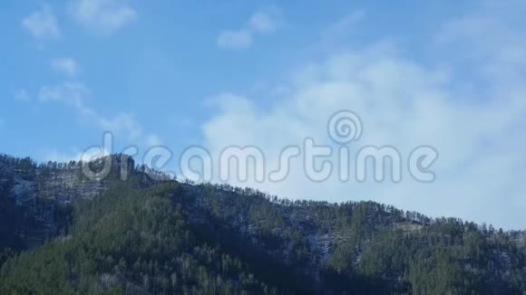 云移过松树高地森林雾蒙蒙的早晨山景视频的预览图