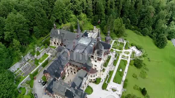 阳光明媚的一天森林中城堡的空中镜头视频的预览图