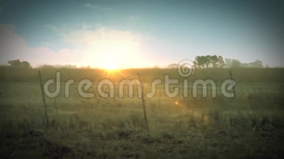 田野里的日落视频的预览图