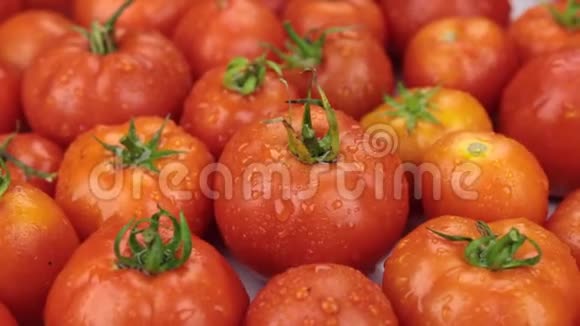 特写镜头天然成熟红番茄在滴露中旋转食物视频的预览图