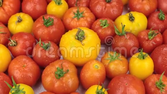 天然成熟的黄西红柿在滴露中旋转食物视频的预览图