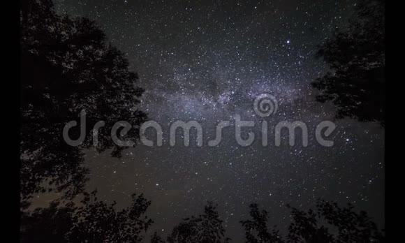 夜空中的星星在松树上移动的时间视频的预览图
