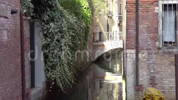 欧洲意大利威尼斯威尼斯运河上美丽的狭窄街道和桥视频的预览图