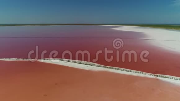 蓝蓝的天空映衬着绿野间的粉红盐湖视频的预览图