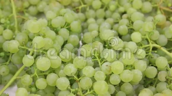 天然成熟的绿色葡萄在滴露中旋转食物视频的预览图