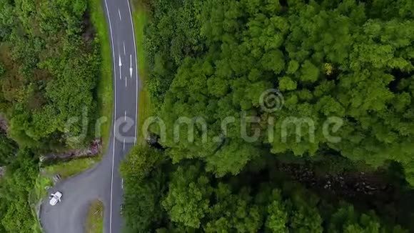 照相机在公路附近的森林上往下掉什维列夫视频的预览图
