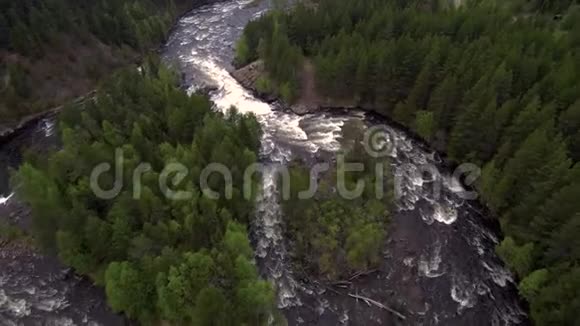 从无人驾驶飞机上俯瞰山河在茂密的泰加森林中流淌视频的预览图