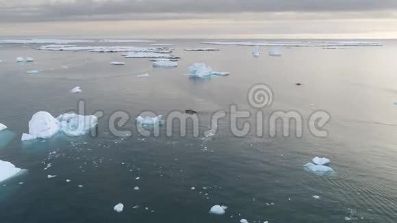 十二生肖船帆冰川海洋追踪盘射视频的预览图