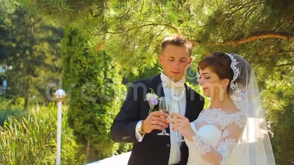 新娘和新郎在婚礼上享用香槟视频的预览图