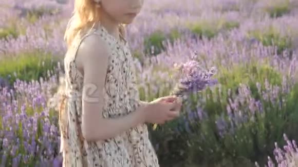 农村生活方式小女孩穿着一件漂亮的夏装收获视频的预览图