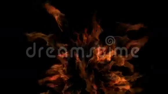 大火视频的预览图