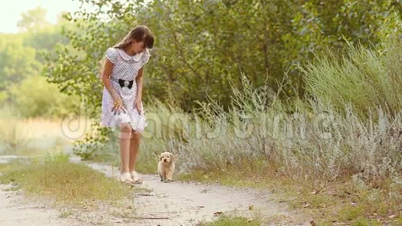 女孩和一只小狗在路上奔跑视频的预览图