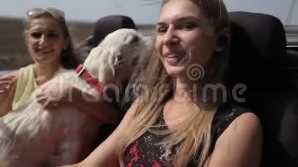 两个快乐的女孩和一条狗坐在敞篷车里视频的预览图