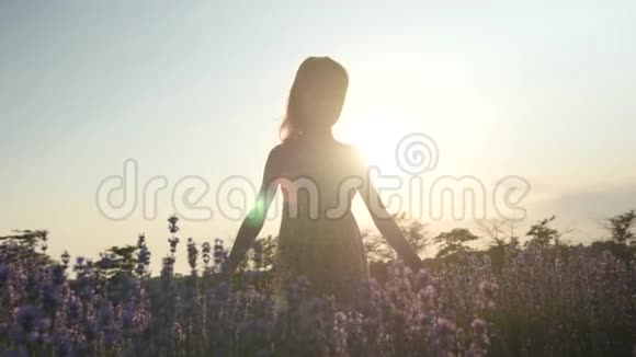 美丽的小女孩独自站在田野里薰衣草的花朵在夕阳的阳光下概念放松视频的预览图