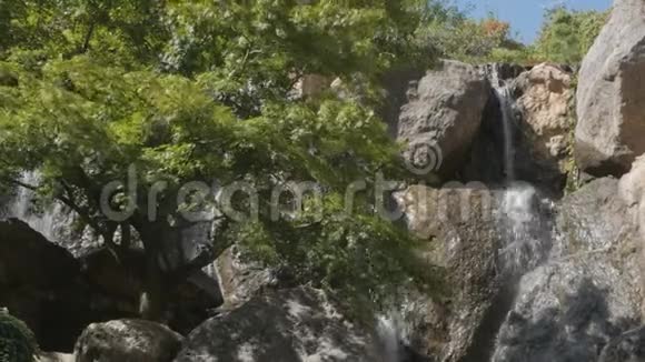 风景优美的公园里美丽的瀑布水顺着石头流下来视频的预览图