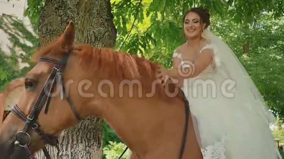 一位美丽的新娘坐在户外的马上新娘高兴地用手抚摸马一个时刻视频的预览图