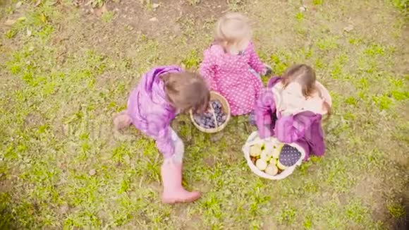 三个女孩坐在草地上吃李子视频的预览图