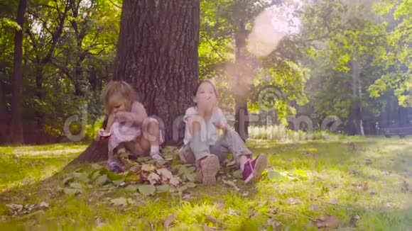三个女孩坐在公园里吃石榴石视频的预览图