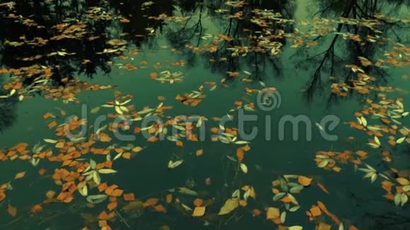 秋天森林中的湖上桥视频的预览图