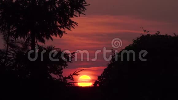 树和山之间美丽的橙色日落视频的预览图