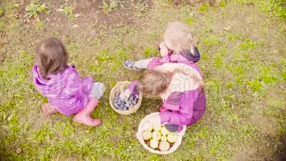 三个女孩坐在草地上吃李子视频的预览图