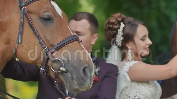 新娘和新郎在马间的绿色公园里一对新婚夫妇抚摸动物巨魔结婚纪念日快乐视频的预览图