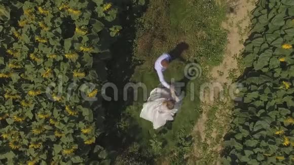 4K航拍片新郎和新娘走在一片向日葵盛开的田野里视频的预览图