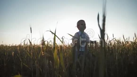 快乐的小学步男孩在夏天的日落时在麦田里玩快乐的童年夏天暑假视频的预览图