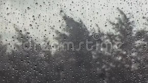 暴风雨的一天窗玻璃上有水滴和树视频的预览图